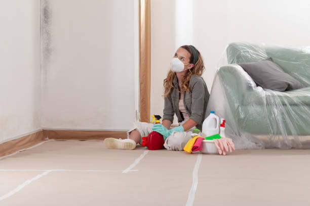 Reliable Mold Removal contractor in Stevensburg, VA by WQB Mold Removal